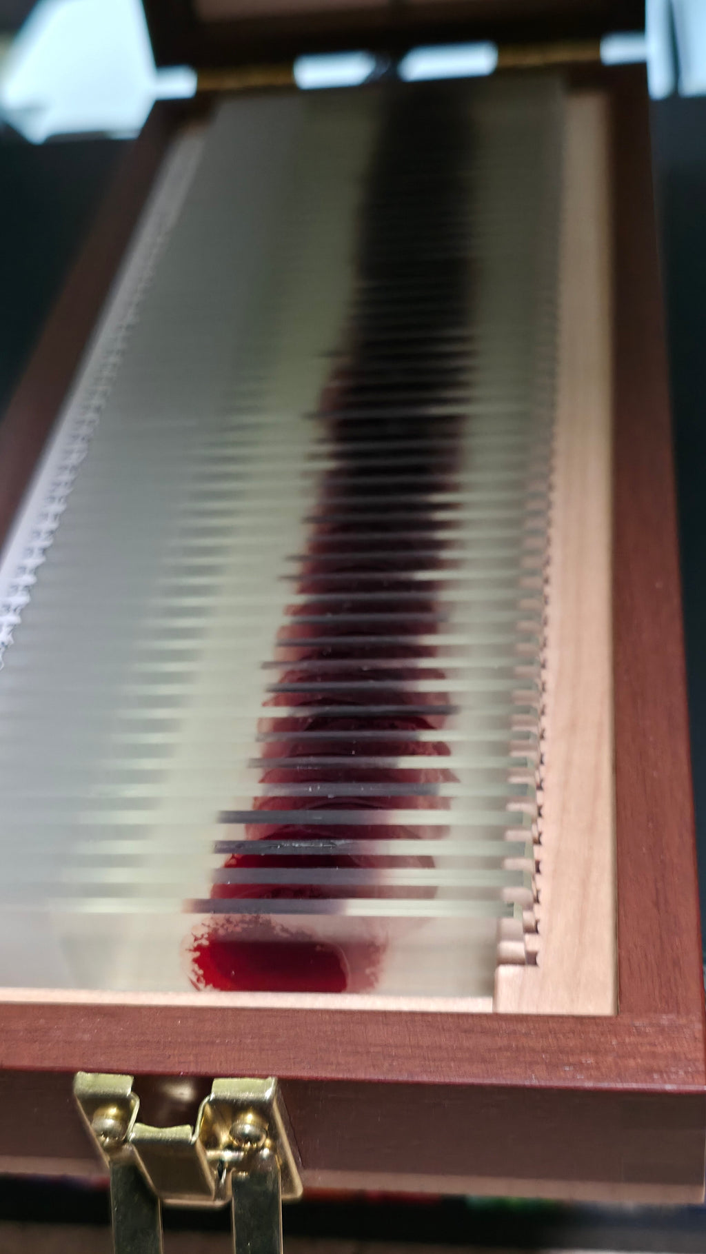 Handcrafted Trophy Case & 46 Blood Stained Slides V.2