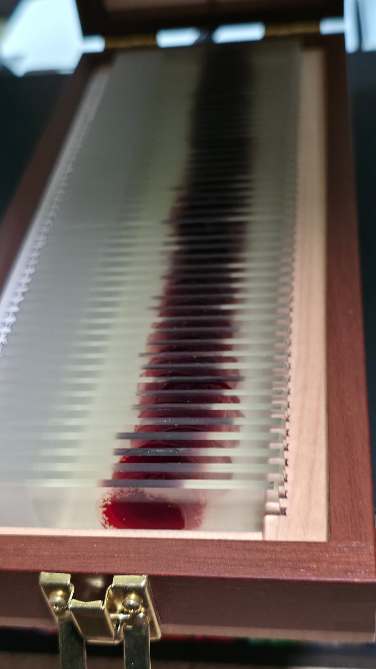 Handcrafted Trophy Case & 46 Blood Stained Slides V.2