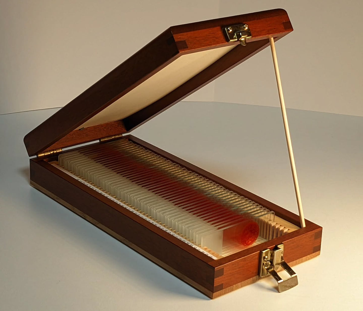 Handcrafted Trophy Case & 46 Blood Stained Slides V.2